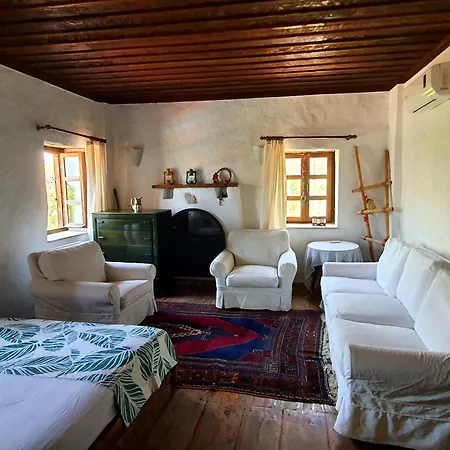 Stone House In Faralya 別荘